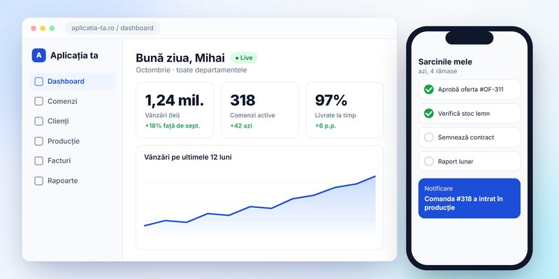 Aplicație custom: dashboard cu vânzări, comenzi și livrări, plus aplicația de mobil pentru echipă